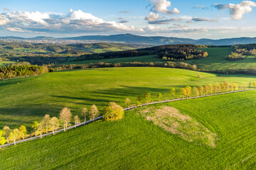 Fototapeta na wymiar Lush green spring hilly landscape with rural fields and road with alley of trees. Aerial view from drone.