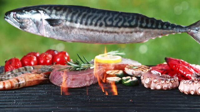 Super slow motion of falling sea fish with herbs on garden grill, green grass on background. Filmed on high speed cinema camera, 1000 fps
