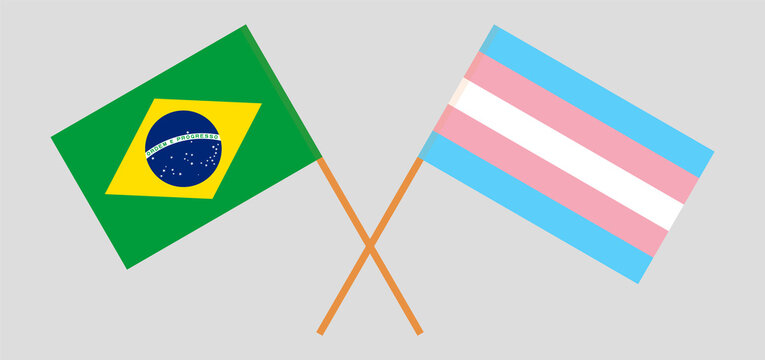 Crossed flags of Brazil and transgender pride. Official colors. Correct proportion