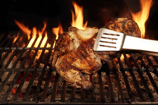 Whole Chicken Grilled On Hot Barbecue Charcoal Flaming Grill. Juicy Chicken Meat Roasted on BBQ Grill. Backyard Grill Party Dish From Poultry Isolated On Black Background, Closeup View.