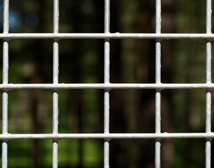 Square cells of a metal fence close-up.