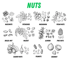 Fotobehang Nuts collection hand drawn sketch. Vector illustration. Nuts cocktail. Organic healthy food. Nuts packaging design. Engraved style. Black and white color © DiViArts