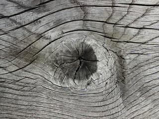 longitudinal cracked wood cut with knots for texture backgrounds