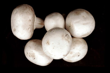 Champignon White Mushrooms Isolated On Black Background, Top View. Fresh Uncooked White Champignon Mushrooms Black Isolated, Close Up View.