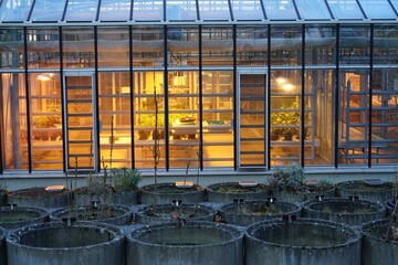 Universität Zukunftsforschung  Biologie Ökosysteme Artenvielfalt Gewächshaus 