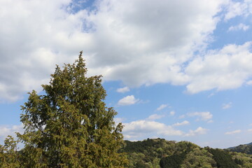 青空を背景にしたの本の美しい風景