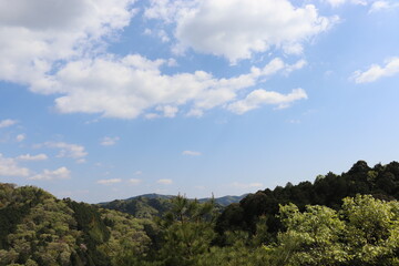 青空を背景にしたの本の美しい風景