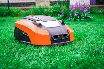 Lawn robot mows the lawn. Robotic Lawn Mower cutting grass in the garden. - 434822450