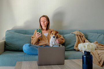 Young beautiful woman sitting on the couch, scrolling her phone. Female working from home with jack russell terrier puppy in living room of her apartment. Interior, background, close up, copy space.