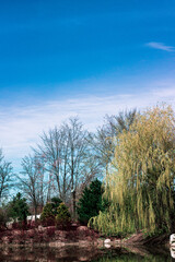Lake in the japanese gardens