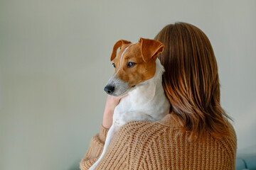 Back view of young beautiful woman holding & playing with cute one year old Jack Russel terrier puppy at home. Small adorable doggy with funny fur stains on the face. Close up, copy space, background.