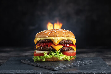 Homemade burger with french fries and fire flames