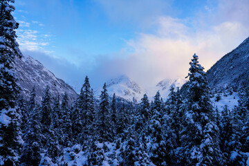 winter mountain landscape