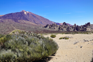 Pico Teide mountain, volcano in El Teide National Park, Tenerife, Canary Islands, Spain.