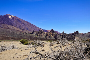 Teide National Park, Tenerife, Canary Islands, Spain.