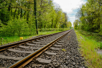 Rusty rails go into the distance in the forest.