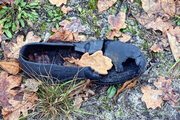 garbage from one old black torn leather sneaker lies on brown dry leaves and the grass