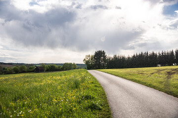 Green field with agriculture meadow and wildflowers in peaceful garden.