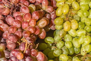 Lots of ripe delicious grapes.