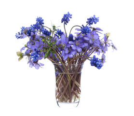 Bouquet of wild flowers in a glass vase on a white background
