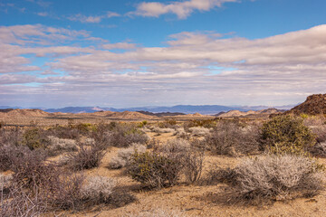 Joshua Tree National Park, CA, USA - December 30, 2012: Wide beige desolate landscape lighted by sunshine with cacti vegetation and mountains on horizon under blue cloudscape.