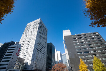 新宿西口甲州街道周辺の高層ビル群