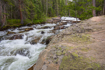 Fototapeta na wymiar North St. Vrain Creek in Rocky Mountain National Park, Colorado