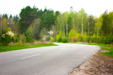 Fototapeta na wymiar A beautiful forest road. A winding asphalted road without cars in a wood among green trees on a spring day. Car travel concept. Exploring nearby places, attractions, natural objects. Spring landscape.