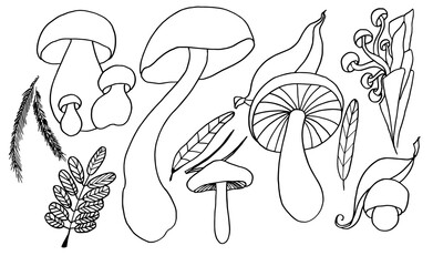Set of mushrooms with leaves black contour on an isolated background.  - 434834444