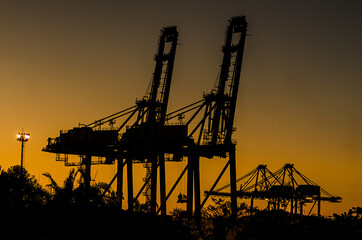 Fototapeta premium cranes at sunset