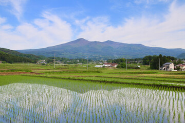 安達太良山と田んぼ（福島県・大玉村・本宮市）