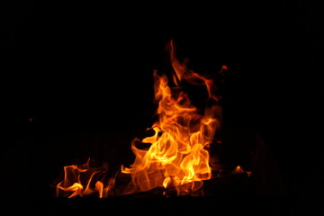 Burning fire in the night