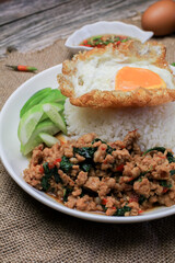 Thai Stir fried  basil with minced pork, chili and fried egg on topped rice. Thai local food style call 