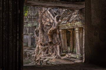 Overgrown temple - obrazy, fototapety, plakaty
