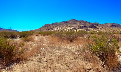 California Desert Landscape with Mountains and Clear Blue sky  