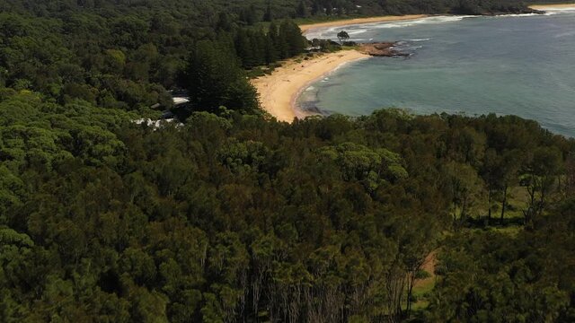 Beach reveal over forested headland
