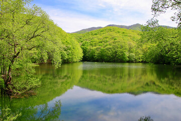 春の曲沢沼（裏磐梯・北塩原村）