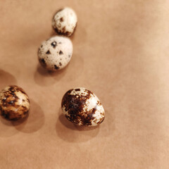 Quail eggs bird diet food kitchen craft background macro photo