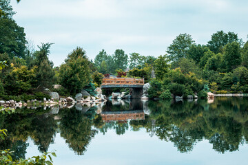 Landscape of the japanese garden in the summer