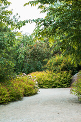 Path through the japanese gardens