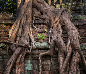 Overgrown temple
