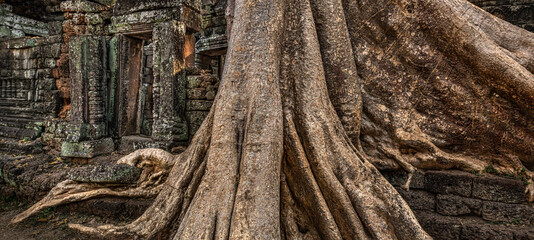 Overgrown temple
