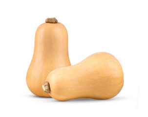 butternut squash isolated on white