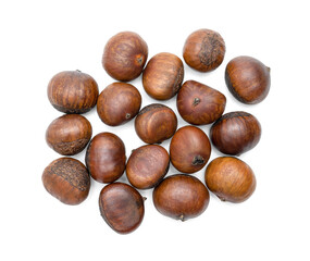roasted chestnut isolated on white background