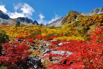 盛秋の北アルプス 涸沢カール　