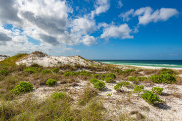 Gulf of Mexico