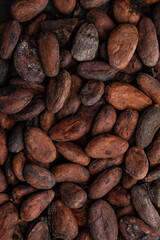Food texture of cocoa beans.