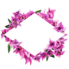 Frame with watercolor bougainvillea flowers isolated on white background