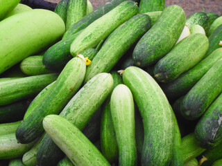 farm fresh cucumber