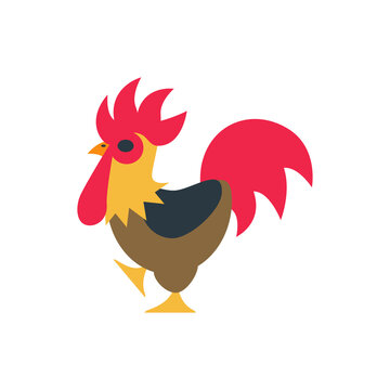 rooster vector, chicken of the farmer in agruculture, animal and pet of domestic animal